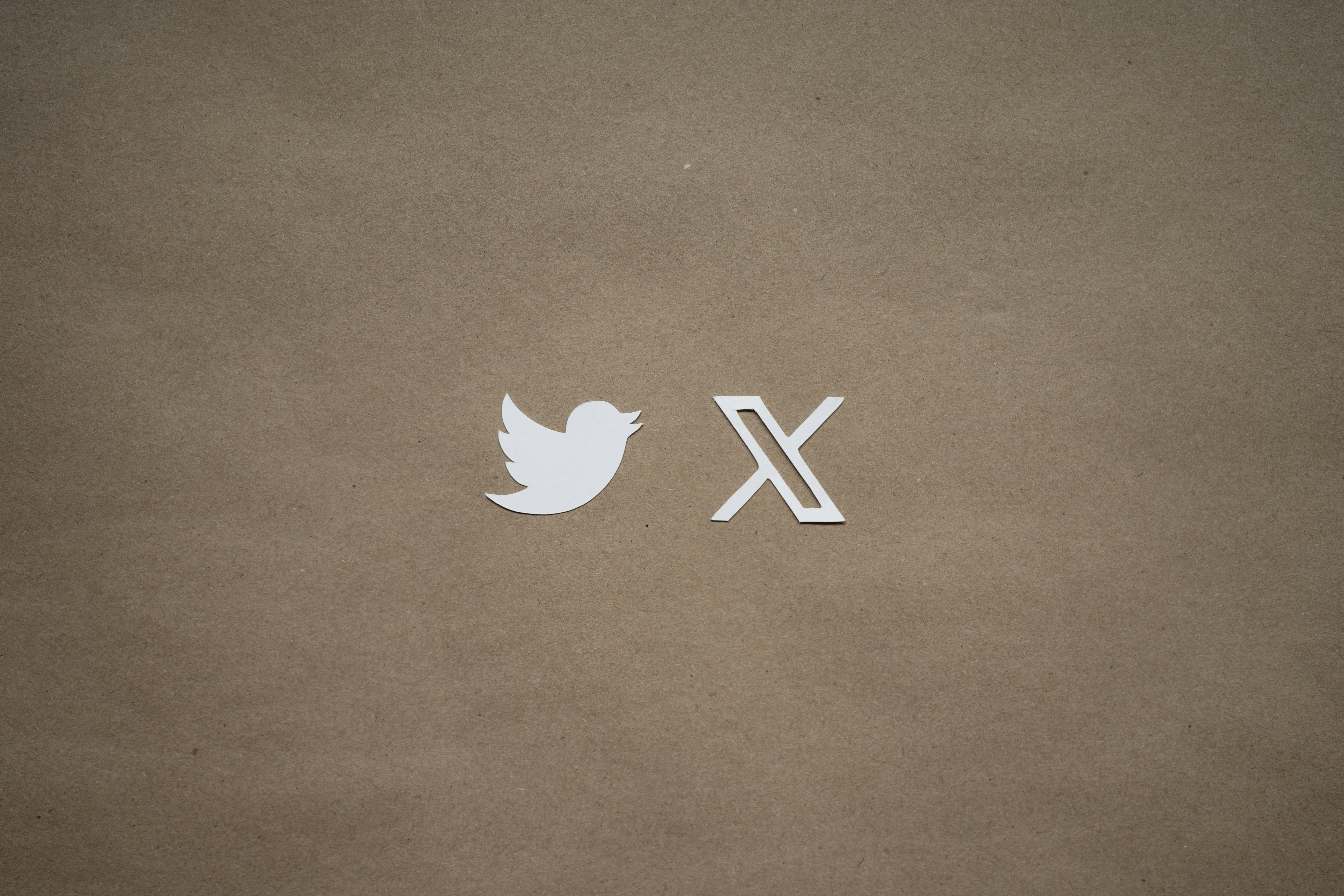 Twitter icon and X icon